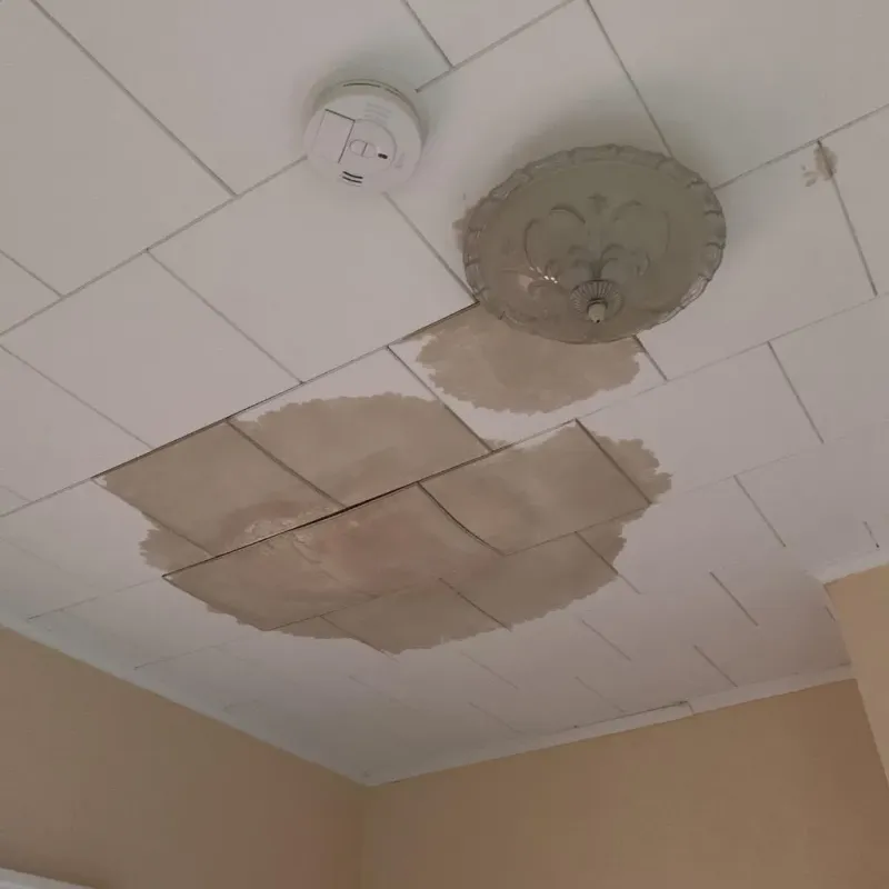 Ceiling Water Damage Repair in Ebensburg, PA