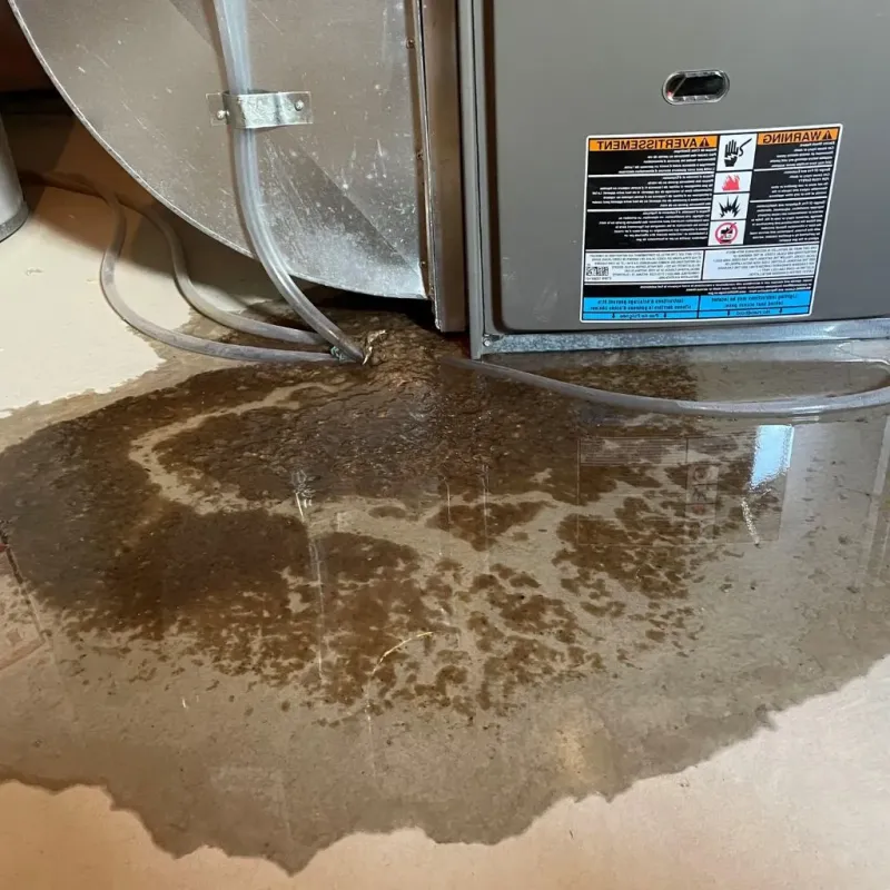 Pipe Burst and Leak Restoration in Ebensburg, PA