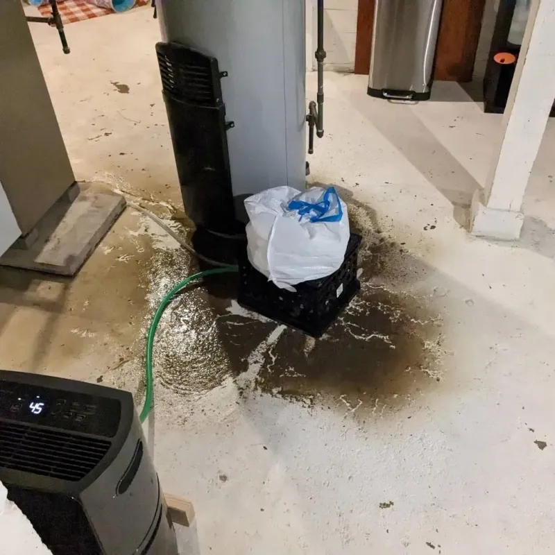 Sewage Backup Cleanup Service in Ebensburg, PA